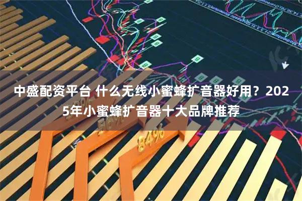 中盛配资平台 什么无线小蜜蜂扩音器好用？2025年小蜜蜂扩音器十大品牌推荐